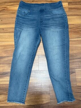 Women’s DG2 Stretch Pull-On Blue Jeans - Size 1X